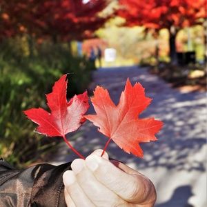 Meet your Posher, Margaret